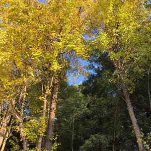 北雁南（Prod.No Birthday）