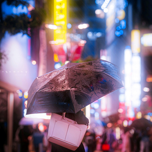 7월의 마지막 밤