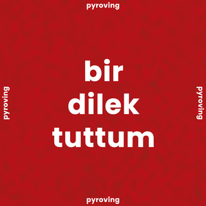 BİR DİLEK TUTTUM
