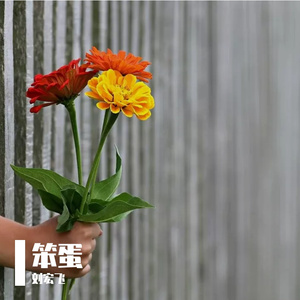 笨蛋（翻自 徐秉龙）