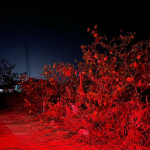 ENOUGH (feat. DALCO & Cartoon)