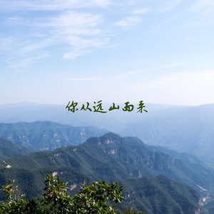 模糊的画面