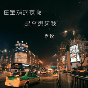 宝鸡的夜晚是否想起我