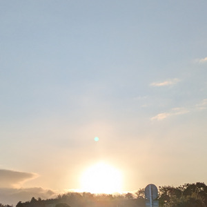 この世界を生き抜くためには続けよう タイプA