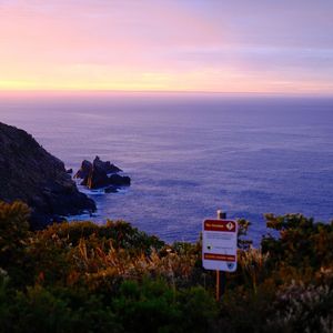 春天，抛下一切和我去看海
