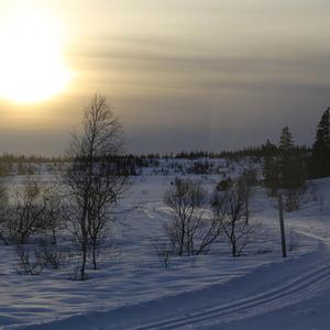 Eg kjenner etter