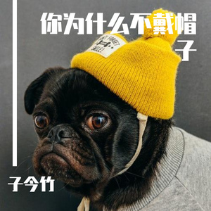 玫瑰的颁奖典礼