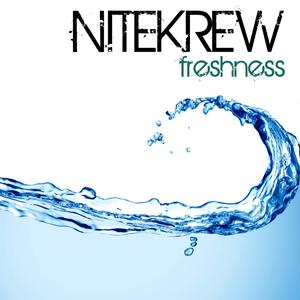 The Stinger (Vip Mix)