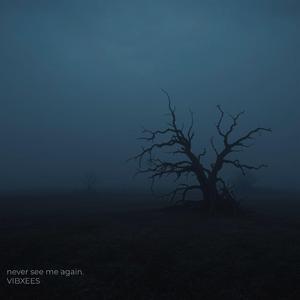 never see me again (slowed)