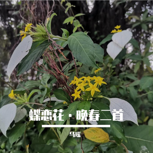 蝶恋花·晚春二首（钢琴曲）