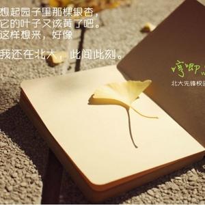 我不愿让你一个人