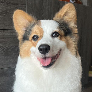 นปโปะหม่ำๆ