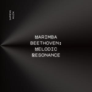 Marimba Sonata No. 25 (2nd Movement Andante)