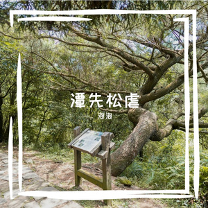 延剂泊颐捉页啦