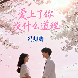 爱上了你没什么道理 (撕心裂肺版)