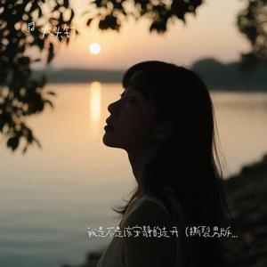 我是不是该安静的走开