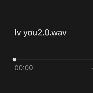 lv you2.0