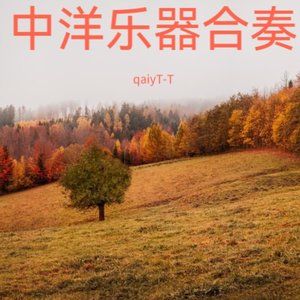 阿水（唢呐，二胡，French horns）