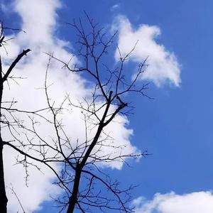 必须要置之不理