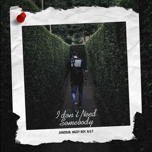 I Don't Need Somebody