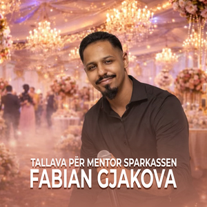 Tallava Për Mentor Sparkassen