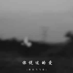 你说过的爱