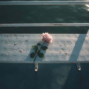 她说她没醉（女版）