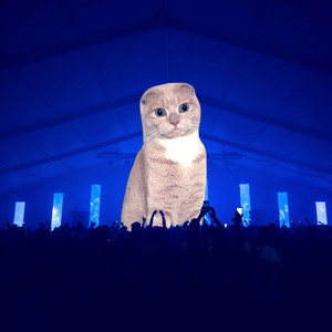 독고다이 (Prod. Purple D)