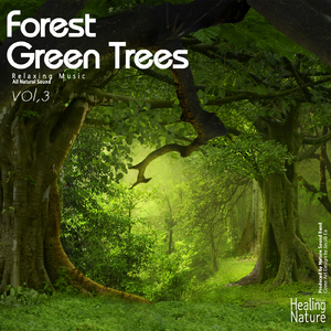 답답한 도심에서 하는 산림욕 힐링의 숲의 소리