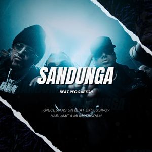 Beat Reggaeton PERREO - SANDUNGA - Pista de reggaeton Perreo 2024 | Don Omar x Wisin y Yandel (Reggaeton perreo)