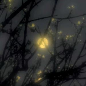 未寄出的信（prod.Dawn）