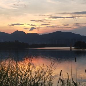 达尔文 II(进化版)