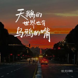 拾光回响-天鹅的世界也有乌鸦的嘴（伴奏）