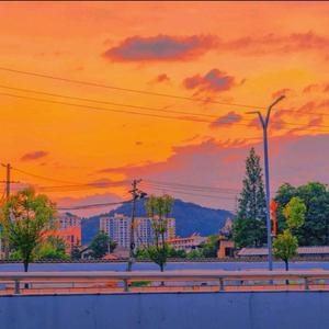 晚风 片段 【抖音热播】