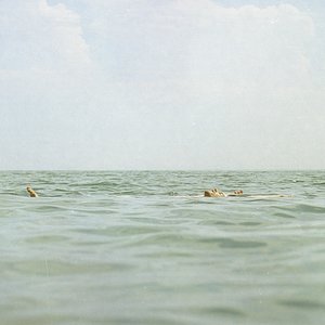 Plant (Vinyl Version)