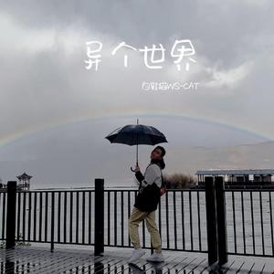 爱你（cover：王心凌）男声版