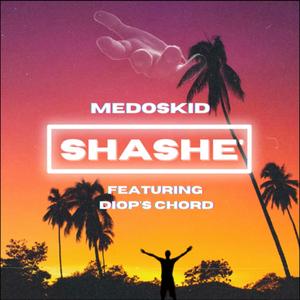 Shashe (feat. Diop’s Chord) (Remix)