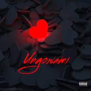 Ungowami (Remix)