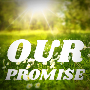 Our Promise