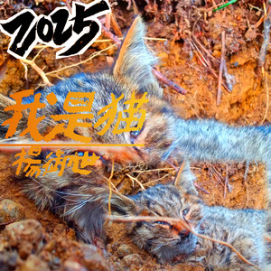 精神病医院随笔(Demo)