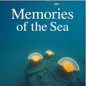 海の記憶