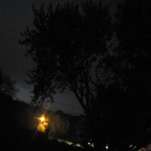 i dont want this anymore