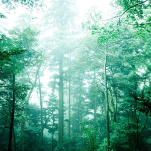 九度山の 真田幸村