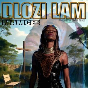 Dlozi Lam (feat. Kaybee Wa Strata, Tee Dray & Calinca Dee RSA)