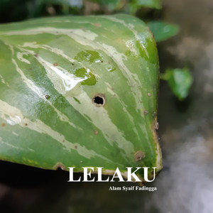Lelaku