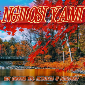 Ngilosi Yami