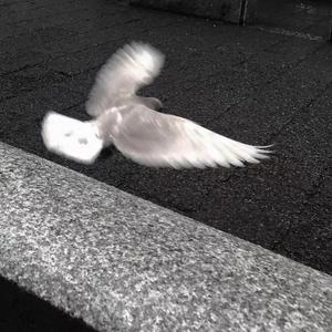 脱口秀