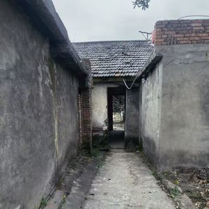 Feel like zebra（Prod.moss)