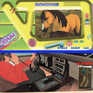 Homeschooled with Ponys