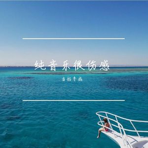吉姑李成 - 纯音乐很伤感
